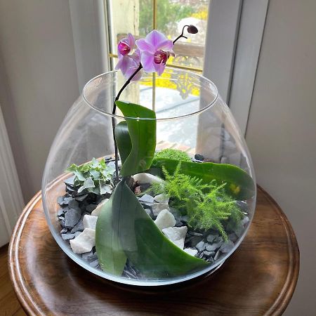 Maison Du Bonheur 马恩河畔维列 外观 照片